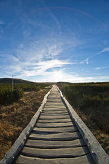 Wooden path