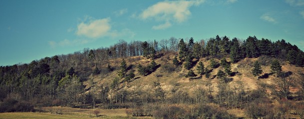 Natur
