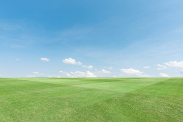 Obraz na płótnie Canvas landscape of grass field and blue sky backgroud