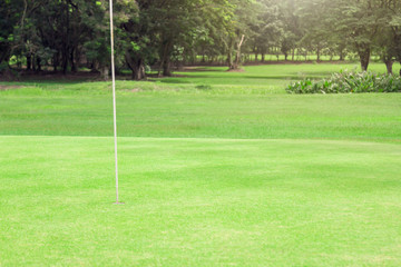 Golf course in the countryside with the tree background