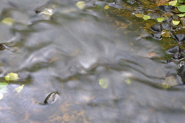 Ritterhuder Beeke im Sommer