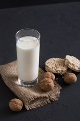 Homemade dairy, vegan milk, vegetarian food