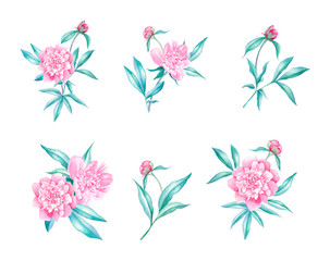 Fototapeta na wymiar Peonies flower bouquet illustration set in watercolor style