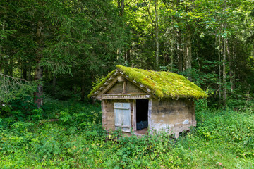 Fototapeta na wymiar Moosbewachsenen Holzhaus in Grindelwald