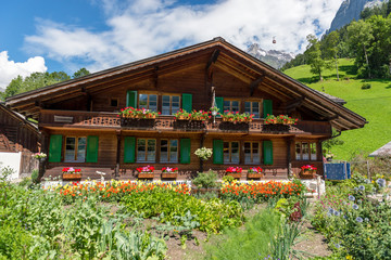 Berner Bauernhof in Grindelwald mit Blumen