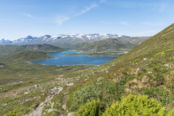 Naklejka na ściany i meble lake in national park in norway