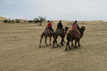 Naklejka premium Mongolie