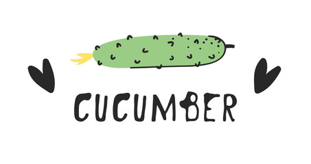 Hand drawn set of vegetable and text. Vector artistic drawing food. Summer illustration cucumber