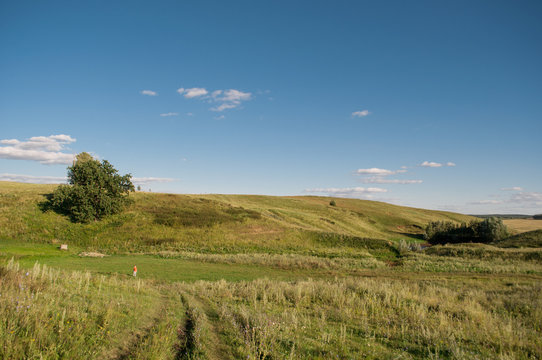 Meadow, green grass and blue sky, horizon