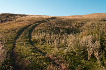 Summer landscape with green grass, road and clouds, concept: road to dream
