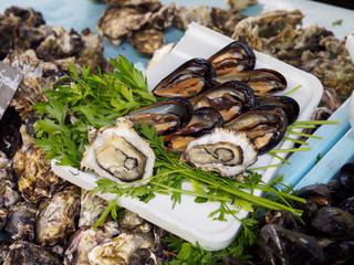 Oysters at street market in Arles, France