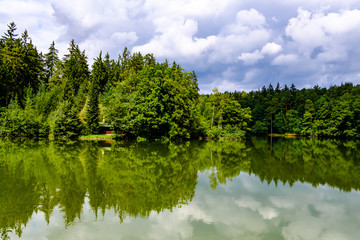 Fototapeta na wymiar Forest reflection in Jevany