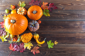 Kürbis (Herbst Dekoration)