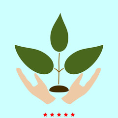 Plant and hand  it is color icon .