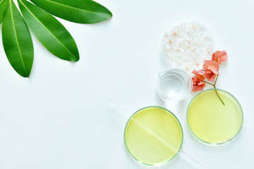 Fototapeta na wymiar Skin care raw materials, Natural beauty product concept.