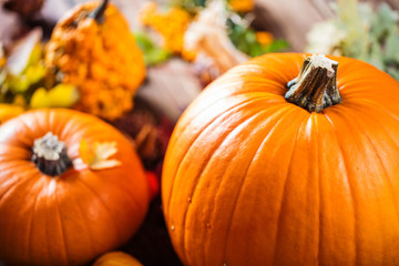 Kürbis (Herbst Dekoration)