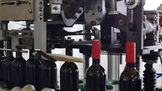 Spill of alcohol wine in glass bottles at the plant. Conveyor belt with glass bottles. The production process of alcoholic beverages. 4K res.