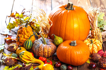 Kürbis (Herbst Dekoration)