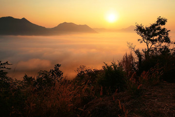 Sunrise and Mist scenics at Phu Tok
