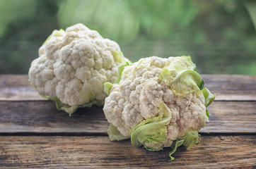Head of cauliflower closeup