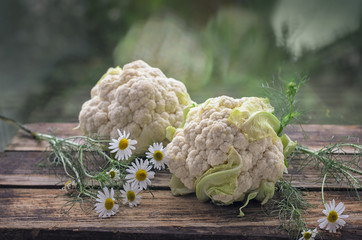 Head of cauliflower closeup