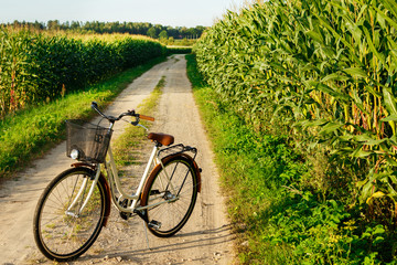 Classic styled bicycle in the corn field © blackday