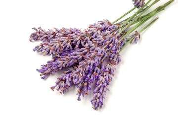 Fototapeta premium Bunch of lavender isolated on a white background