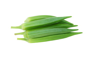 Green roselle isolated on white background