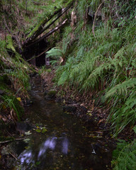 Abandoned tin mine Bodmin Moor Cornwall