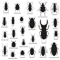 Silhouette insect set isolated on the white. Vector illustration. © klerik78