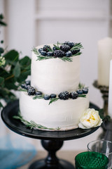 beautiful decorate wedding cake with candles and flowers