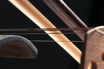 Bow on the Strings of the Violin