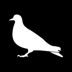 Dove white color icon .