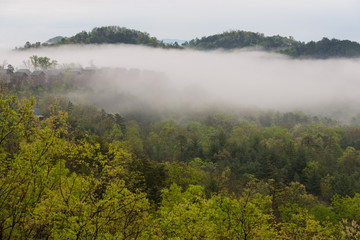 Smokey Mountains Scenery