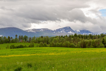 Field in Norway