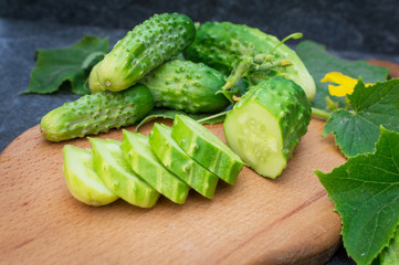 Fresh green cucumbers on a twig