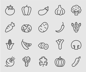 Vegetable line icon