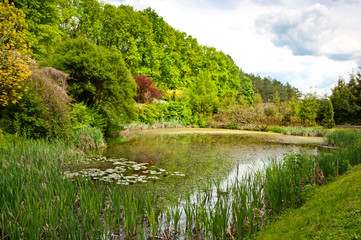 Beautiful landscaping in the spring park