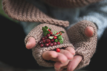 Hand in mittens holds cowberries berries