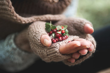 Hand in mittens holds cowberries berries