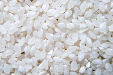 White rice background,uncooked raw cereals, macro closeup