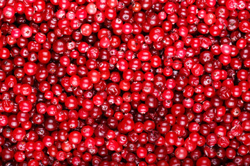 Fresh cranberries background