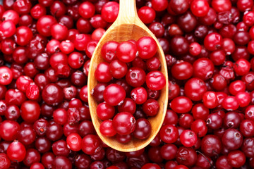 Ripe cranberries in a spoon
