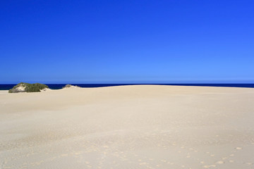Fototapeta na wymiar Fuerteventura - Corralejo, sand dunes nature park.