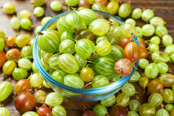 lot of gooseberry is scattered