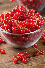 Red currant in a glass plate