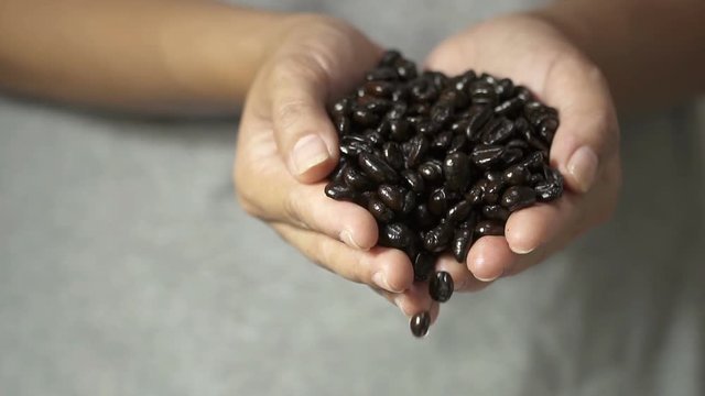 Slow motion, Coffee beans pouring, falling from held by woman hand.
