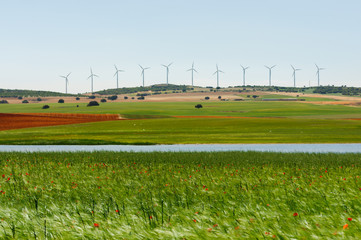 Fototapeta na wymiar field landscape and wind turbines