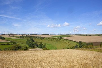 Fototapeta na wymiar scenic agricultural valley