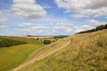 summer valley